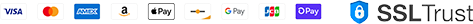 Icn Payment